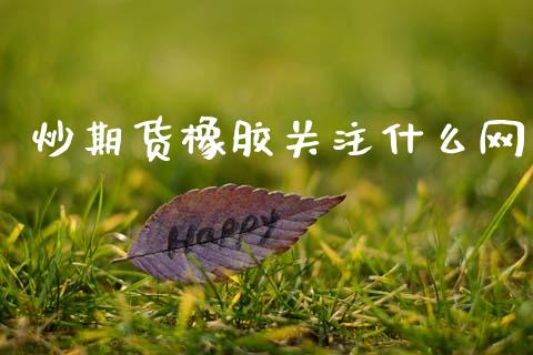 炒期货橡胶关注什么网_https://www.apanben.com_财经资讯_第1张