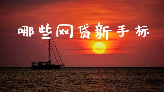 哪些网贷新手标_https://www.apanben.com_期货学院_第1张