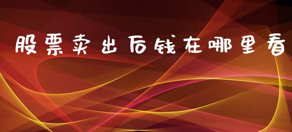 股票卖出后钱在哪里看_https://www.apanben.com_股市指导_第1张