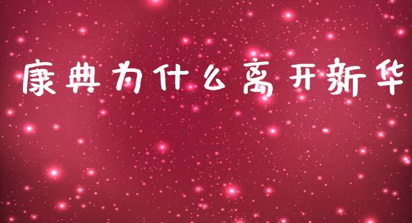康典为什么离开新华_https://www.apanben.com_股票怎么玩_第1张