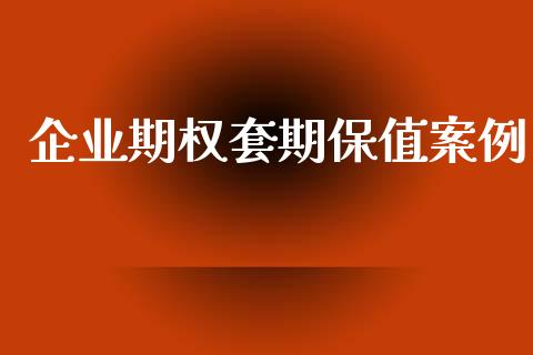 企业期权套期保值案例_https://www.apanben.com_国际财经_第1张