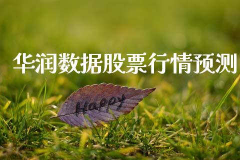 华润数据股票行情预测_https://www.apanben.com_股市指导_第1张