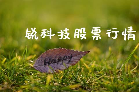 囯锐科技股票行情_https://www.apanben.com_股市指导_第1张