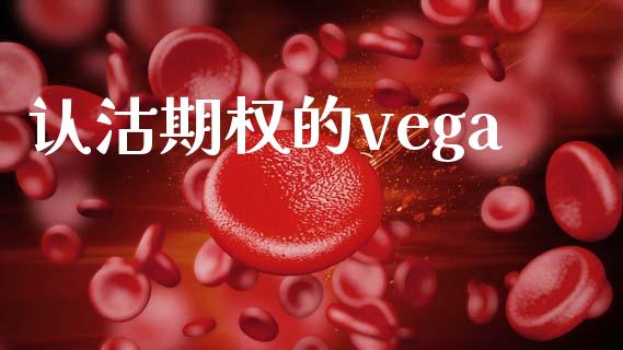 认沽期权的vega_https://www.apanben.com_期货学院_第1张
