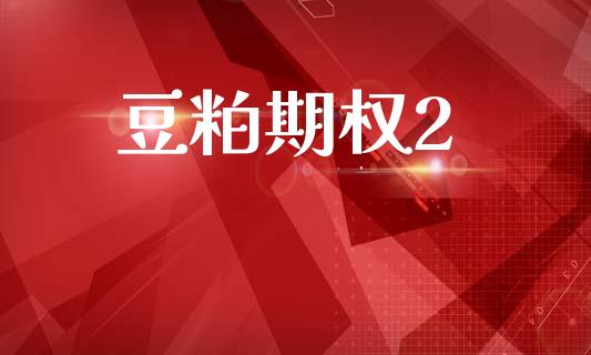 豆粕期权2_https://www.apanben.com_国际财经_第1张