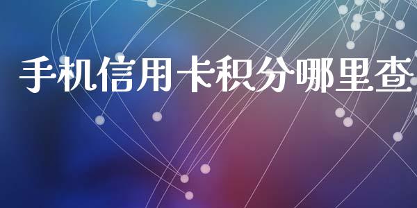手机信用卡积分哪里查_https://www.apanben.com_期货学院_第1张