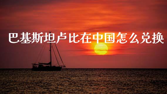 巴基斯坦卢比在中国怎么兑换_https://www.apanben.com_股市指导_第1张