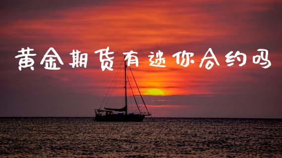黄金期货有迷你合约吗_https://www.apanben.com_期货学院_第1张
