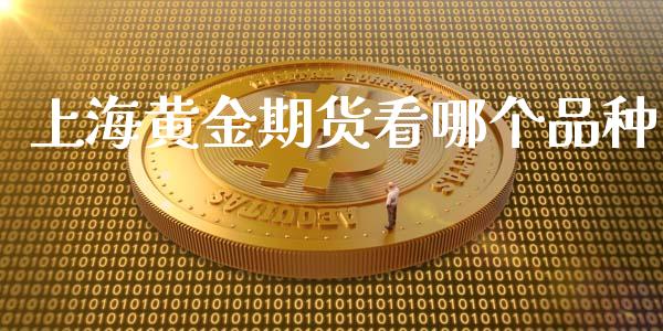 上海黄金期货看哪个品种_https://www.apanben.com_期货学院_第1张