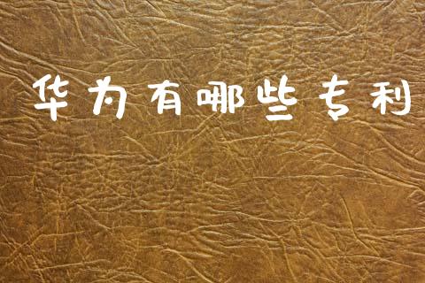华为有哪些专利_https://www.apanben.com_期货学院_第1张