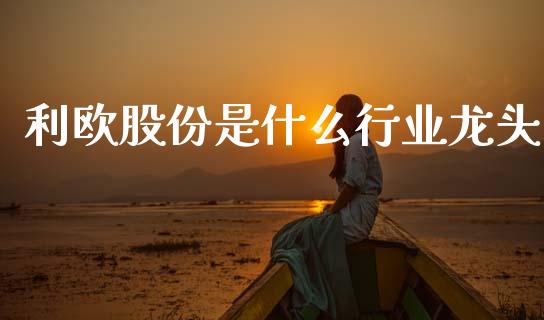 利欧股份是什么行业龙头_https://www.apanben.com_国际财经_第1张