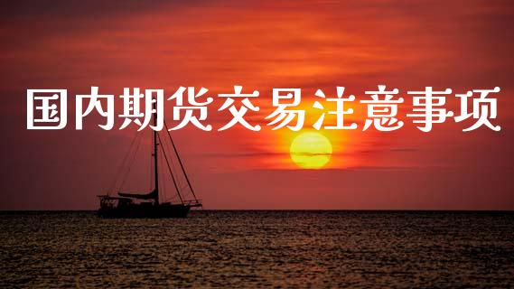国内期货交易注意事项_https://www.apanben.com_股票怎么玩_第1张