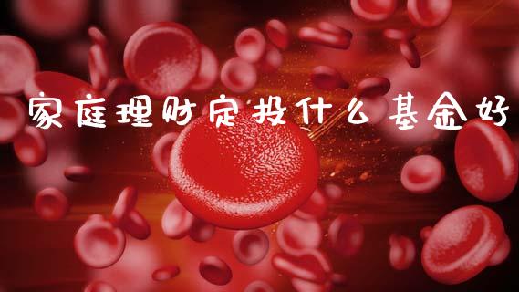 家庭理财定投什么基金好_https://www.apanben.com_财经资讯_第1张