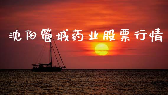 沈阳管城药业股票行情_https://www.apanben.com_股市分析_第1张