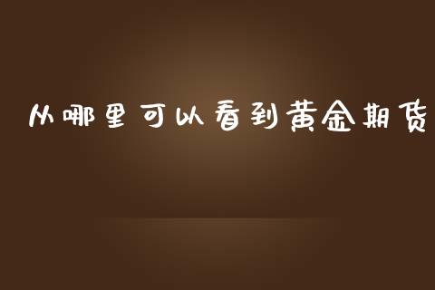 从哪里可以看到黄金期货_https://www.apanben.com_期货学院_第1张