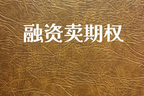 融资卖期权_https://www.apanben.com_股票怎么玩_第1张