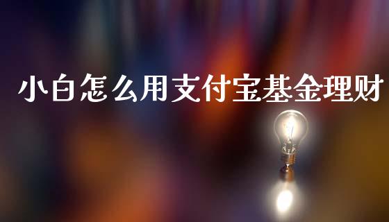 小白怎么用支付宝基金理财_https://www.apanben.com_财经资讯_第1张