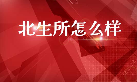 北生所怎么样_https://www.apanben.com_国际期货_第1张