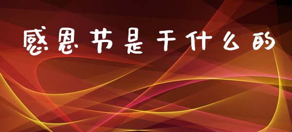 感恩节是干什么的_https://www.apanben.com_国际期货_第1张