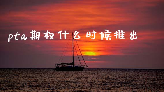 pta期权什么时候推出_https://www.apanben.com_股市指导_第1张