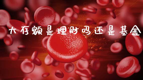 大存额是理财吗还是基金_https://www.apanben.com_财经资讯_第1张