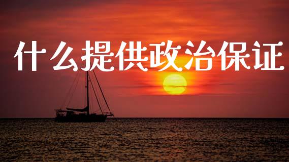 什么提供政治保证_https://www.apanben.com_股市分析_第1张