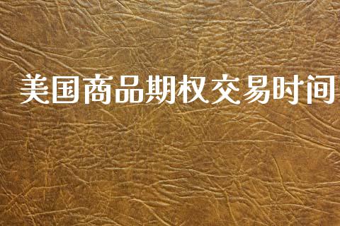 美国商品期权交易时间_https://www.apanben.com_股市指导_第1张