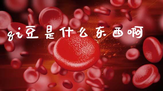 qi豆是什么东西啊_https://www.apanben.com_国际期货_第1张