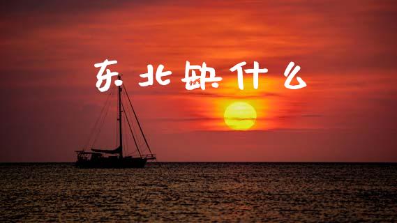 东北缺什么_https://www.apanben.com_国际财经_第1张