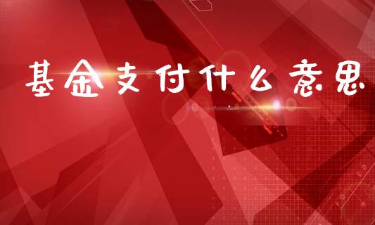 基金支付什么意思_https://www.apanben.com_国际财经_第1张