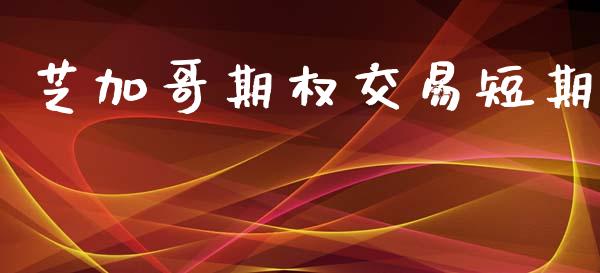 芝加哥期权交易短期_https://www.apanben.com_期货学院_第1张