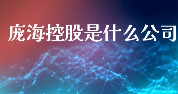 庞海控股是什么公司_https://www.apanben.com_国际期货_第1张