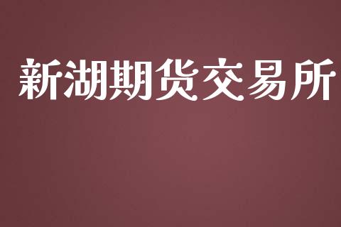新湖期货交易所_https://www.apanben.com_在线喊单_第1张