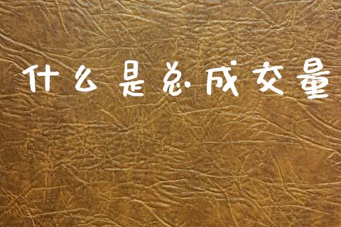 什么是总成交量_https://www.apanben.com_期货学院_第1张