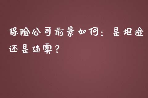 保险公司前景如何：是坦途还是迷雾？_https://www.apanben.com_国际财经_第1张