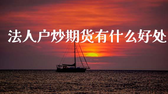 法人户炒期货有什么好处_https://www.apanben.com_股票怎么玩_第1张