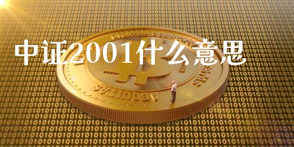 中证2001什么意思_https://www.apanben.com_股市分析_第1张