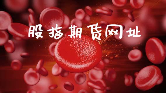股指期货网址_https://www.apanben.com_期货学院_第1张