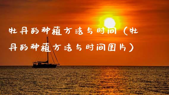 牡丹的种植方法与时间（牡丹的种植方法与时间图片）_https://www.apanben.com_期货学院_第1张