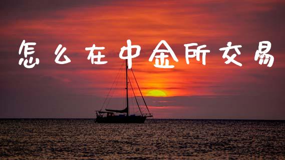 怎么在中金所交易_https://www.apanben.com_在线喊单_第1张