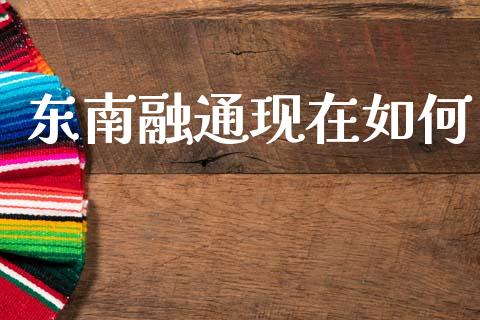 东南融通现在如何_https://www.apanben.com_国际财经_第1张
