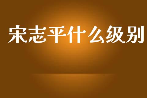 宋志平什么级别_https://www.apanben.com_股市分析_第1张