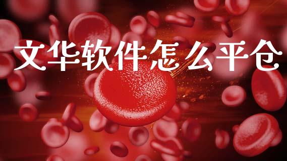 文华软件怎么平仓_https://www.apanben.com_在线喊单_第1张