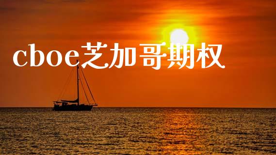 cboe芝加哥期权_https://www.apanben.com_股市指导_第1张