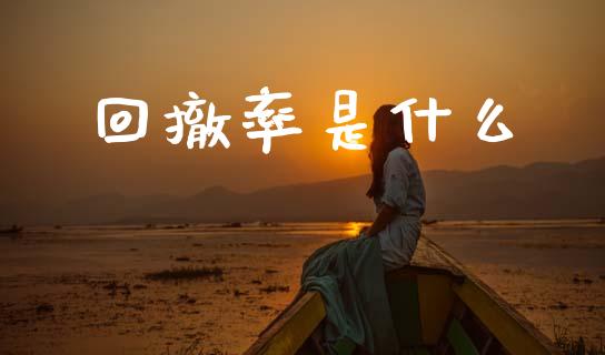 回撤率是什么_https://www.apanben.com_期货学院_第1张