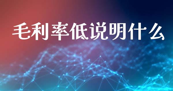 毛利率低说明什么_https://www.apanben.com_国际财经_第1张