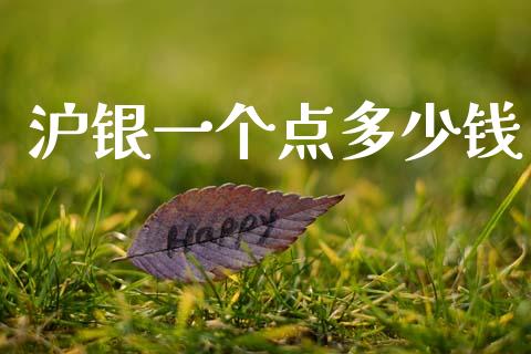 沪银一个点多少钱_https://www.apanben.com_在线喊单_第1张