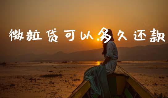 微粒贷可以多久还款_https://www.apanben.com_国际财经_第1张