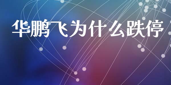 华鹏飞为什么跌停_https://www.apanben.com_股市指导_第1张
