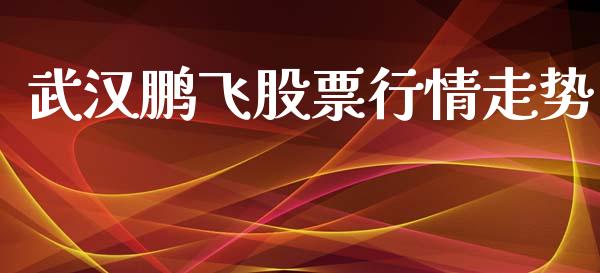 武汉鹏飞股票行情走势_https://www.apanben.com_股市分析_第1张